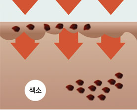 색소가 파괴되는 과정 1단계